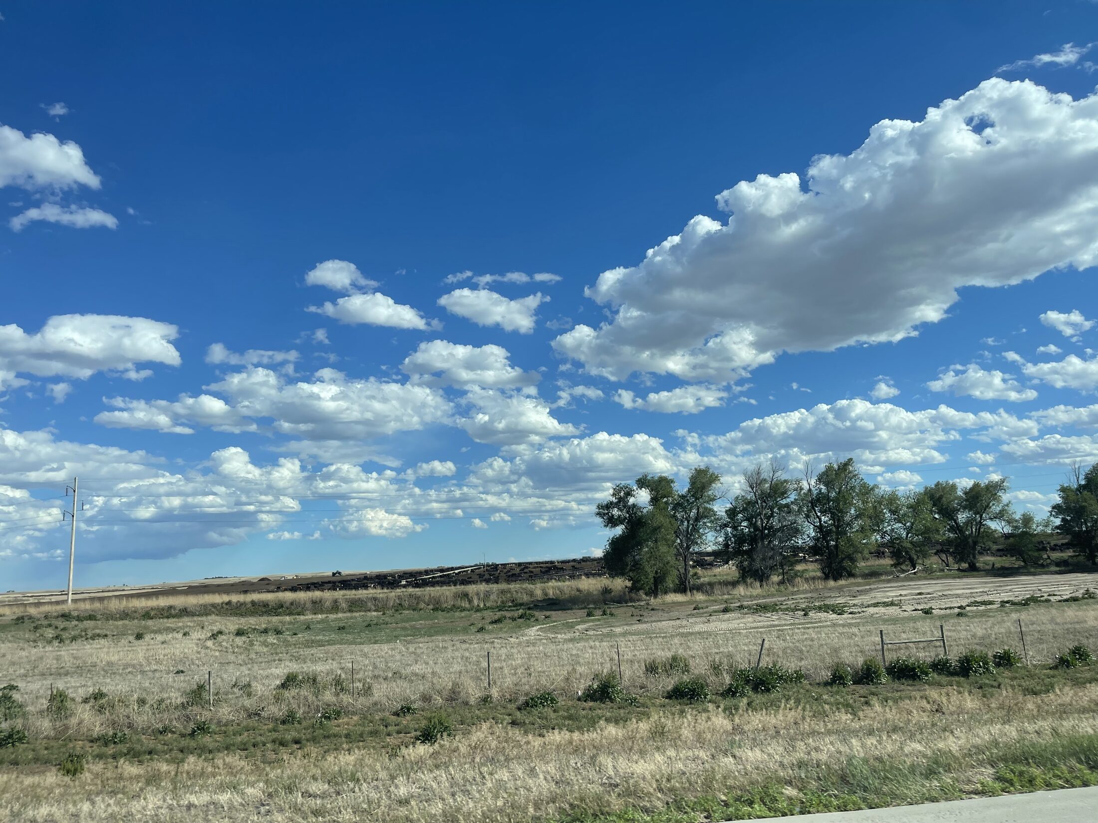 Ogallala area evening
