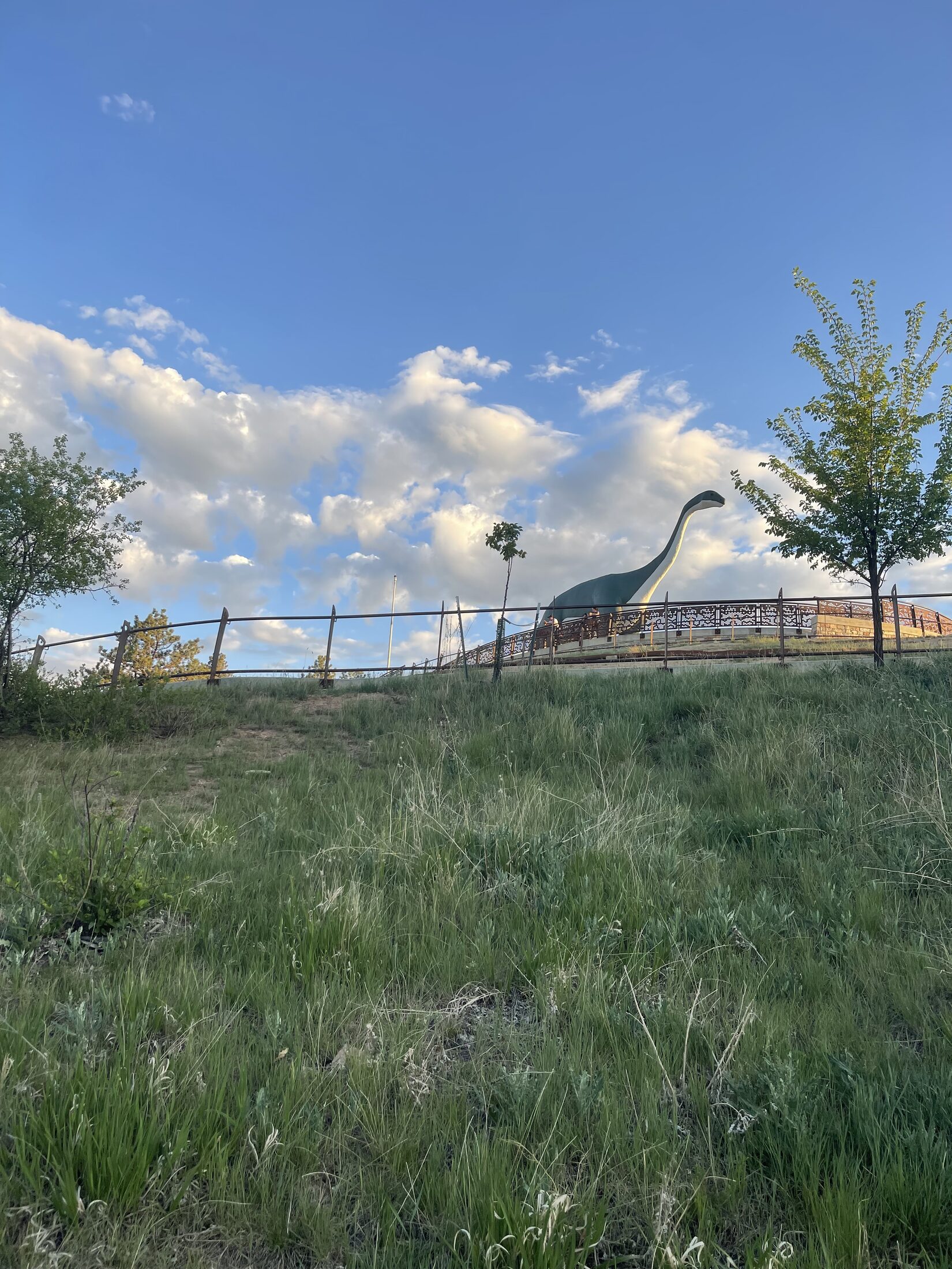 Rapid City evening