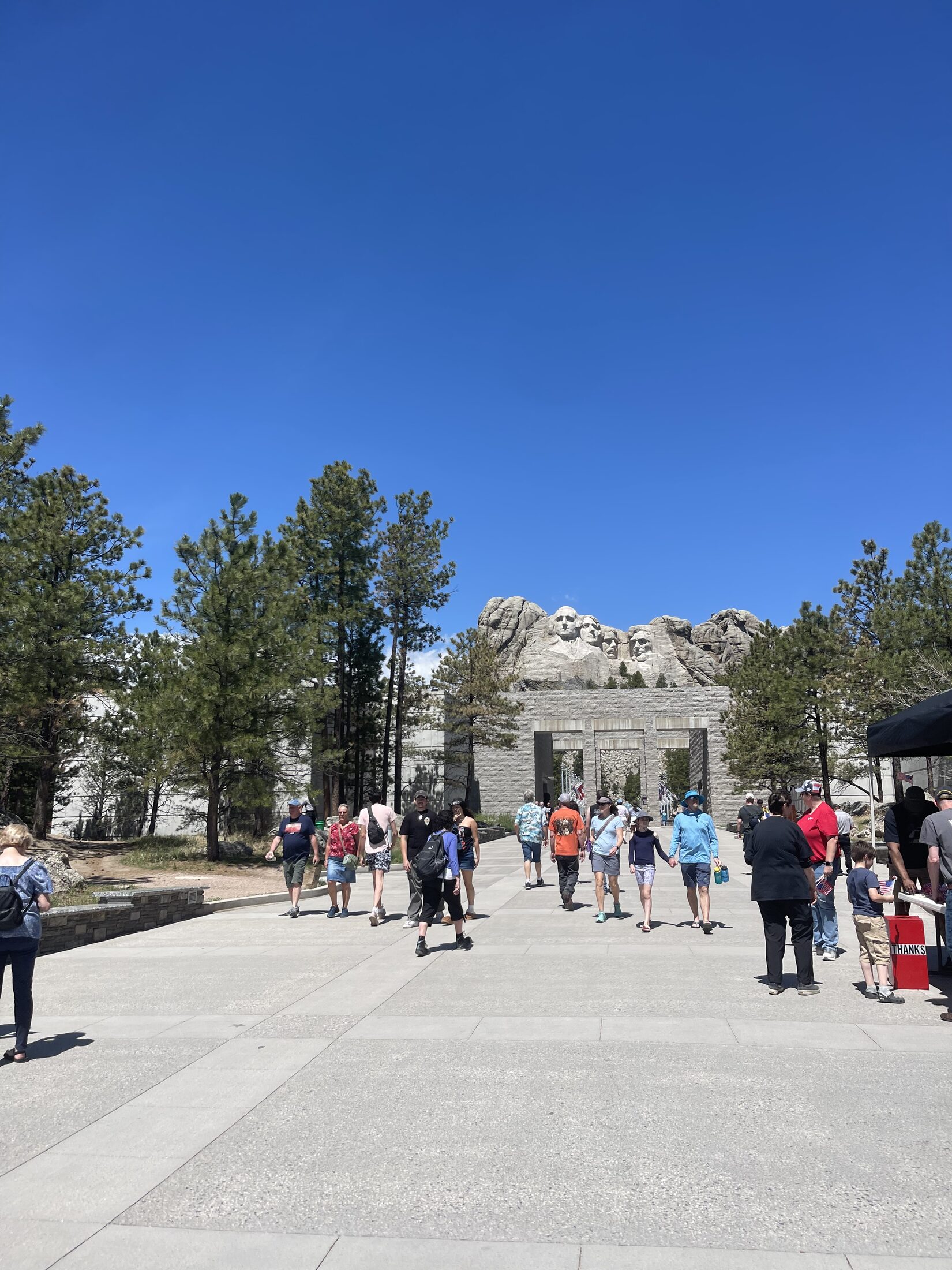 Mount Rushmore approach