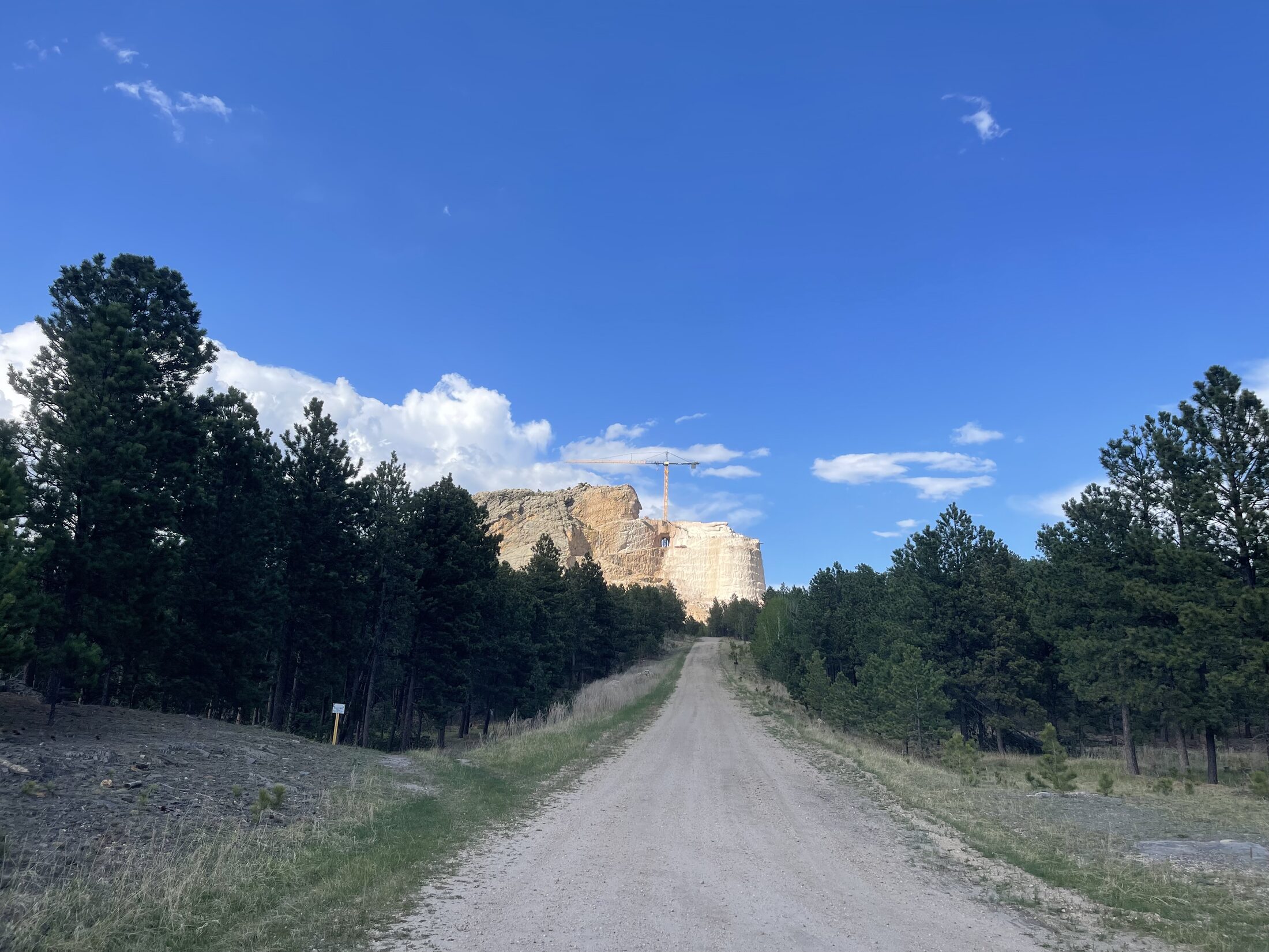 Custer State Park lakeside