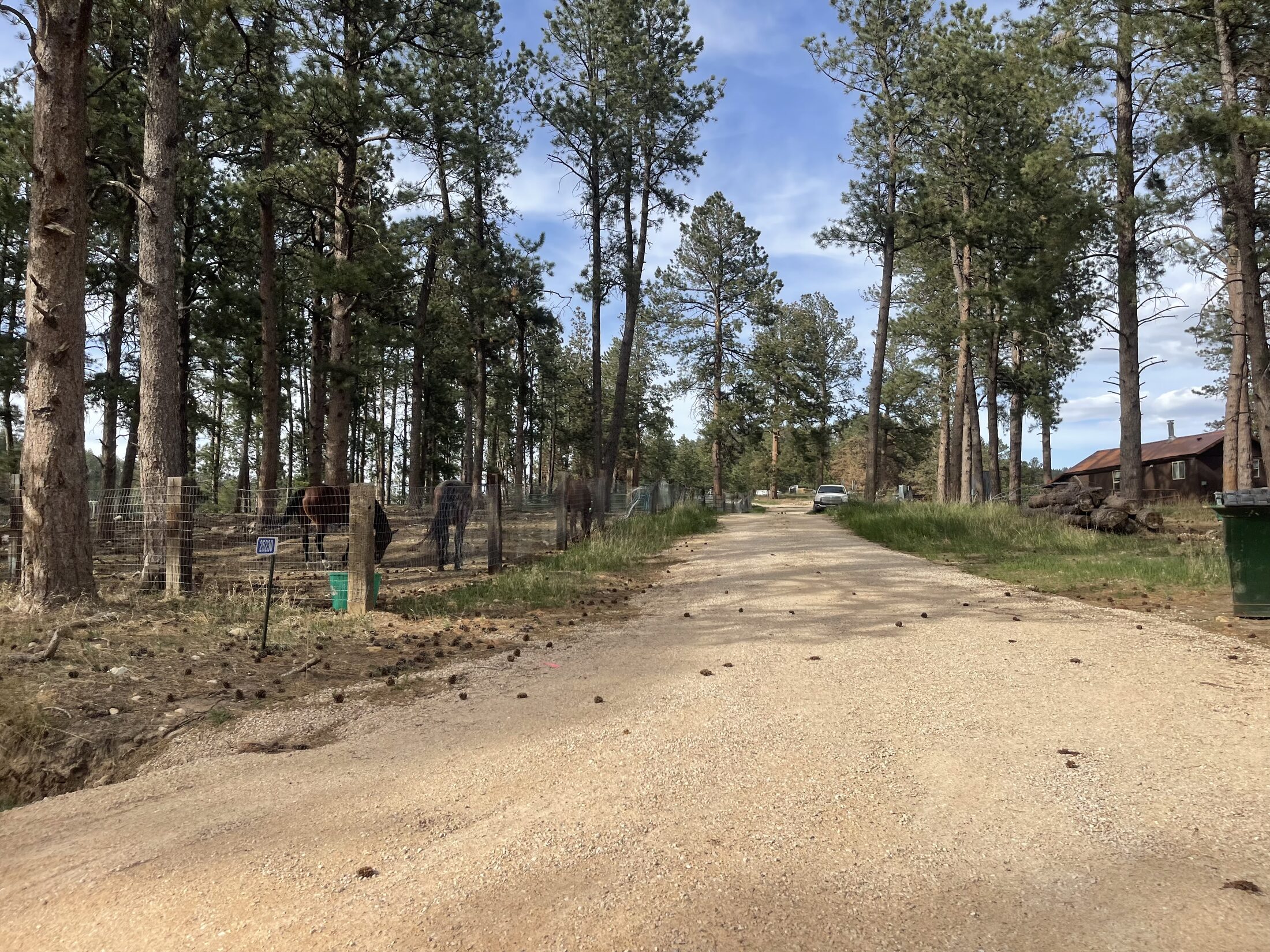 Black Hills southbound road