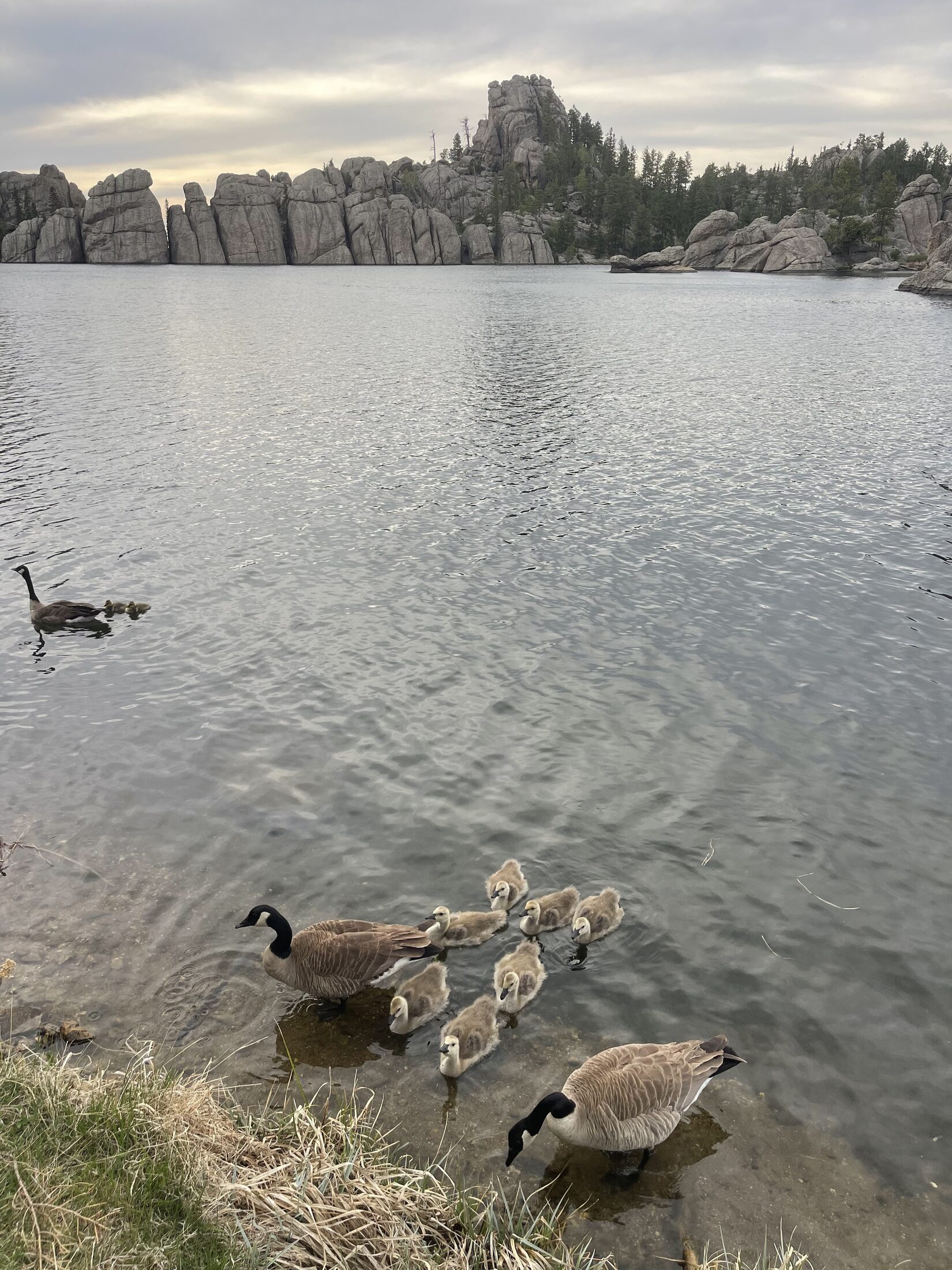Sylvan Lake stop